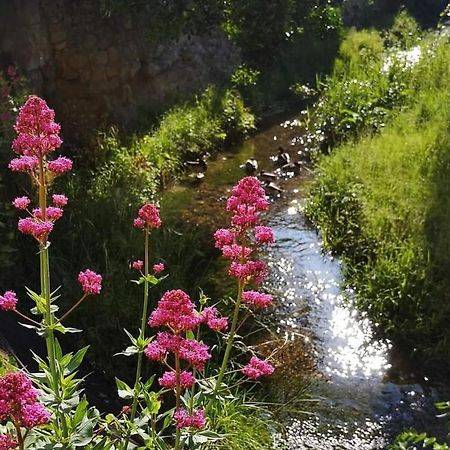 Appartement Entier Chauvigny Exteriér fotografie